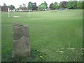 SJ9272 : Memorial stone, The Tip, Macclesfield by Robin Stott