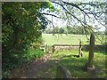 Through the churchyard