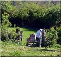 SD4889 : Hives at Brigsteer Bee Reserve by Karl and Ali