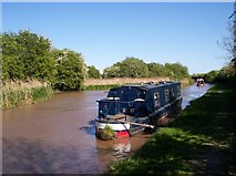SJ5858 : Winding hole on Shropshire Union Canal at Bunbury by Raymond Knapman