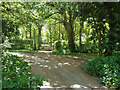 Bridleway junction near Orchard Cottage