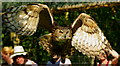 TQ3643 : 'Ethel' the Eagle Owl by Peter Trimming