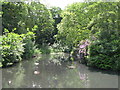 The lake in Kelsey Park (9)