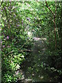 The Beck south of the lake in Kelsey Park