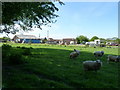 The Barns at Sheinton