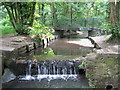 Weir on The Beck south of Stone Park  Avenue, BR3