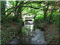 The Beck north of South Eden Park Road, BR3 (3)