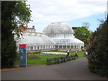 J3372 : The Palm House in the Botanic Gardens by Rod Allday