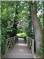 Footbridge over The Beck south of Cresswell Road, BR3 (2)