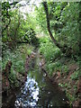 The Beck south of Cresswell Road, BR3 (2)