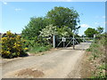 Inside gate No 1 on Syderstone Road