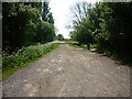 A footpath leading to Goole