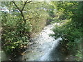 Afon Lwyd downstream from Town Bridge, Pontypool