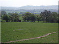 Footpath through the fields