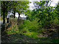 Former trackbed of the paisley canal Line