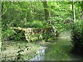 Sluice Wood Stream