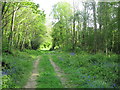 Footpath past Gage