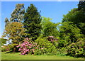 Gardens to the south of Beech Court House, Challock