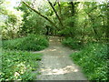 Bridleway bridge in Parson