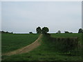 Footpath to Great Shoesmith Farm