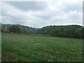 Field on the eastern edge of Bovey Tracey