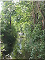 The Quaggy River west of Lee High Road, SE13 (9)