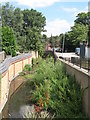 The Quaggy River south of Weardale Road, SE13 (2)