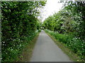 Whitchurch railway path, Bristol