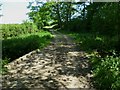 Bridleway crosses stream west of Crawfold Furze