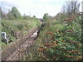 Railway cutting between Northfleet and Gravesend