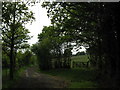 Gate on Little Shoesmiths Access Road