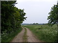 Footpath to Byng Hall