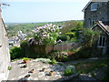 Terraced gardens above St. Dogmaels