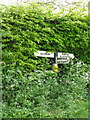 Finger post, Broad Chalke