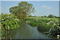 River Thames at Castle Eaton