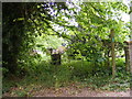 Footpath to Moat Hall Farm