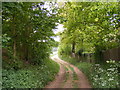 Pound Lane footpath