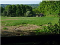 Field by Coombelands Lane with cottage beyond