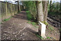 Milestone, Wey and Arun Canal