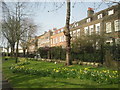 Stepney Green in spring