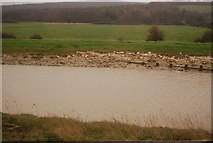 TV5199 : Cuckmere River, Seven Sisters Country Park by N Chadwick