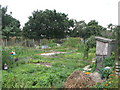 Adams Road Allotments