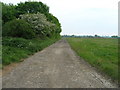 Trans Pennine Trail near Burn Airfield