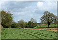 2011 : Fields and hedgerows near Western Farm