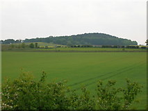 SE5630 : Farmland beside the A63 by JThomas