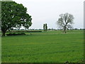 Farmland north of the A1238