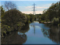 SD7910 : River Irwell, Bury by David Dixon