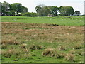 NT2552 : Farmland at Westloch by M J Richardson