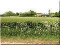 View towards Laurel Farm, Silfield