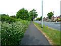 Along the Portway at Shirehampton